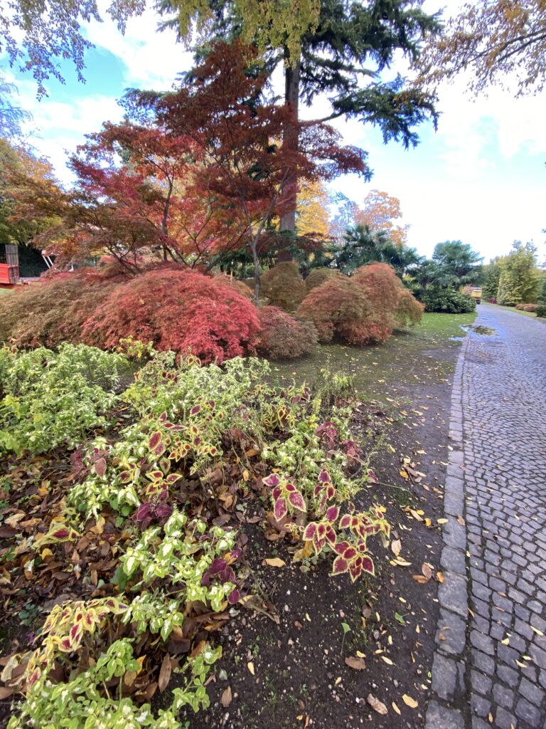 Parco Giardino Sigurtà